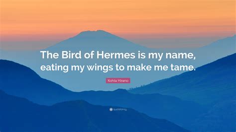 bird hermes|the bird of Hermes is my name eating wings to make me tame.